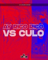  آهنگ سیستمی و خارجی  DJ LUC14NO   - Ay Rico Rico Vs Culo