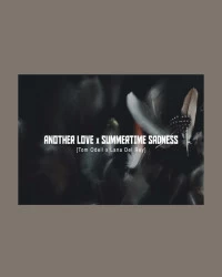  دانلود آهنگ Lana Del Rey --Summertime Sadness X Another Love (Tom Odell)