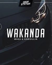  آهنگ سیستمی و خارجی  MAGA   GABIDULIN   - Wekanda