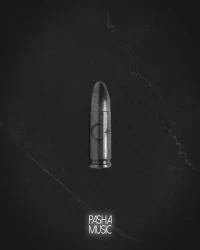  آهنگ سیستمی و خارجی  Pasha Music   - Mafia