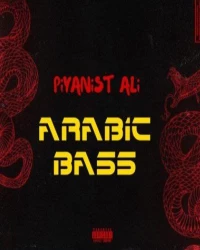  آهنگ سیستمی و خارجی  PİYANİST ALİ   - ARABiC BASS