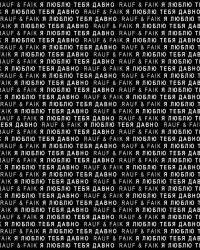  دانلود آهنگ Rauf - Faik-Я Люблю Тебя Давно (Slowed)