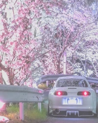  دانلود آهنگ Rushex - Montagem-BAILIKA