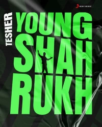  آهنگ سیستمی و خارجی  Tesher   - Young Shahrukh (Slowed)