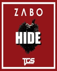  آهنگ سیستمی و خارجی  ZABO   - Hide